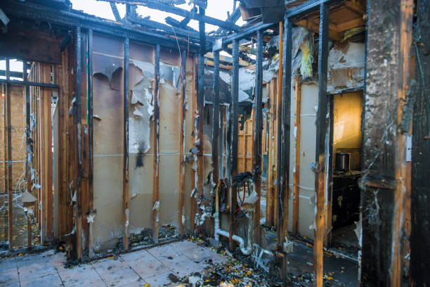 Professional Fire Damage Removal technician working in Goodhue, MN